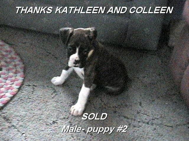 male/sold