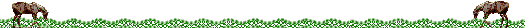 grzbr.gif
